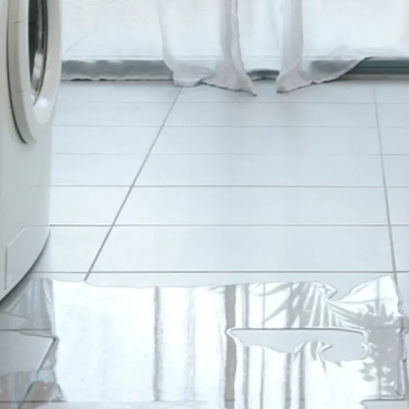 Appliance Leak Cleanup in Alton, IL