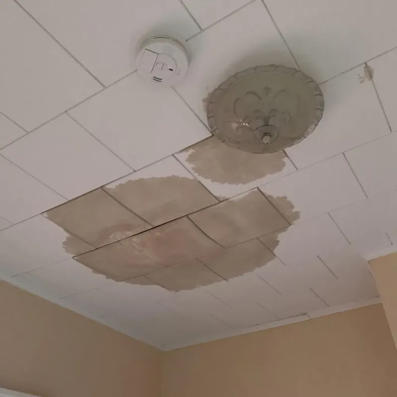 Ceiling Water Damage Repair in Alton, IL