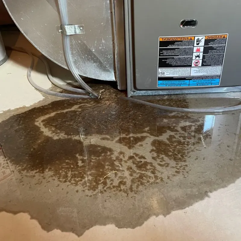 Pipe Burst and Leak Restoration in Alton, IL